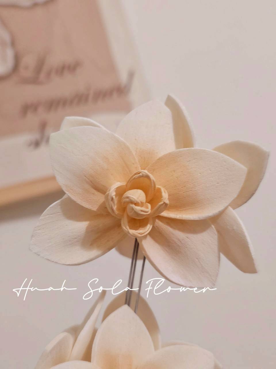 LINE_ALBUM_官網7_260109_107