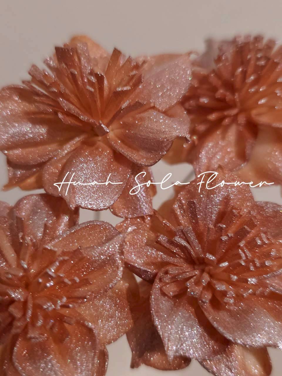 LINE_ALBUM_官網7_260109_44