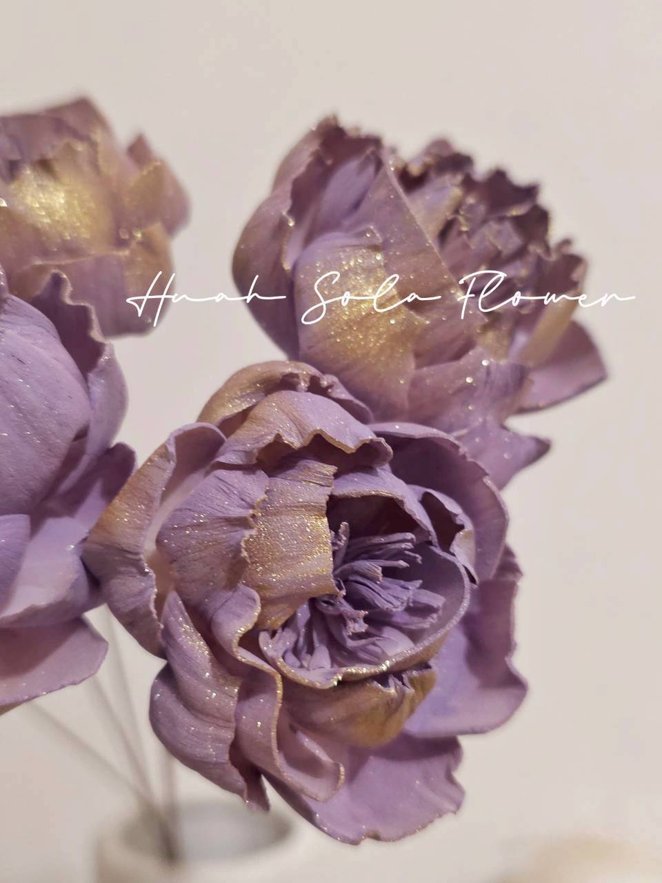 LINE_ALBUM_官網7_260109_76