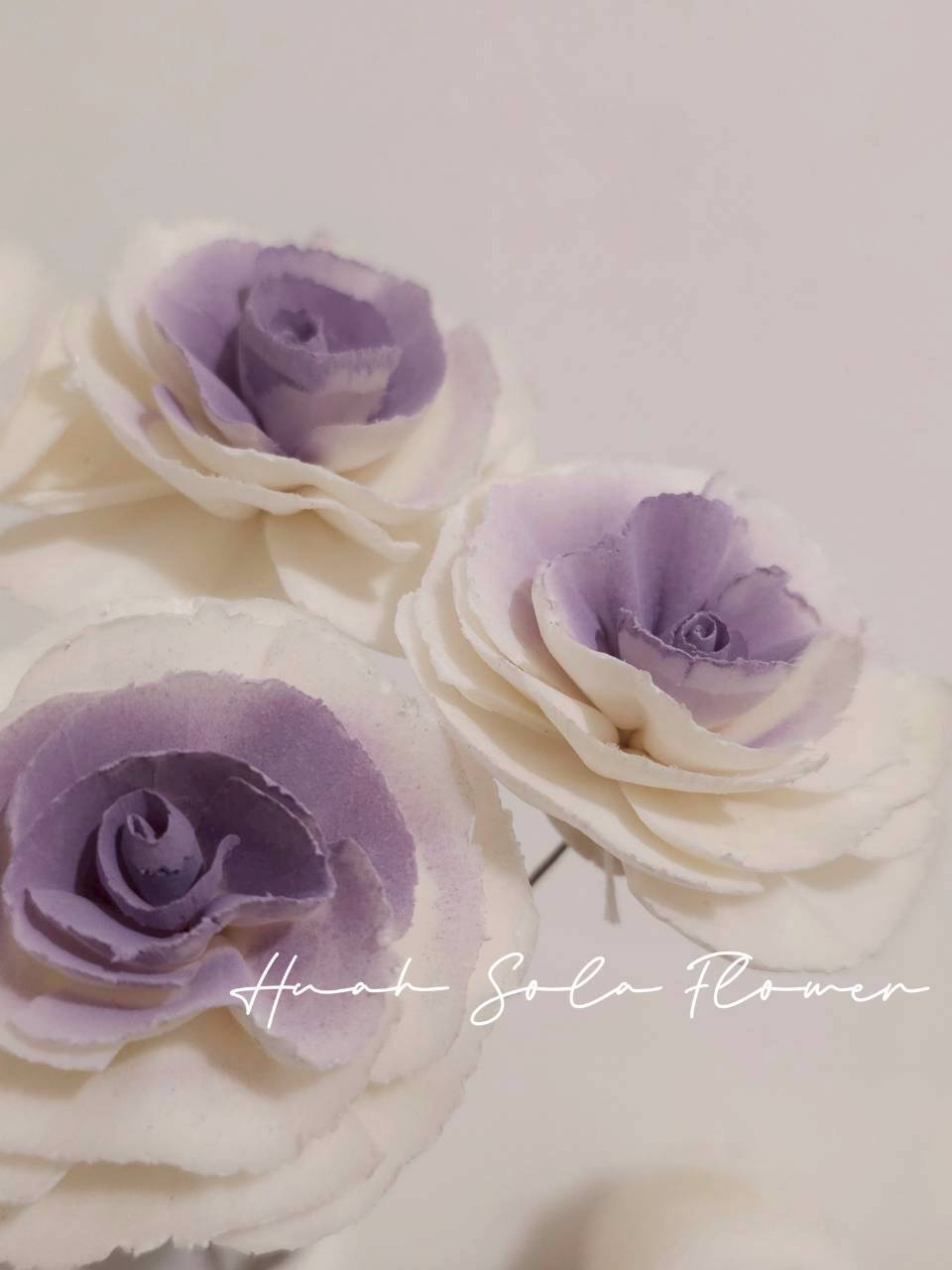 LINE_ALBUM_官網7_260109_84