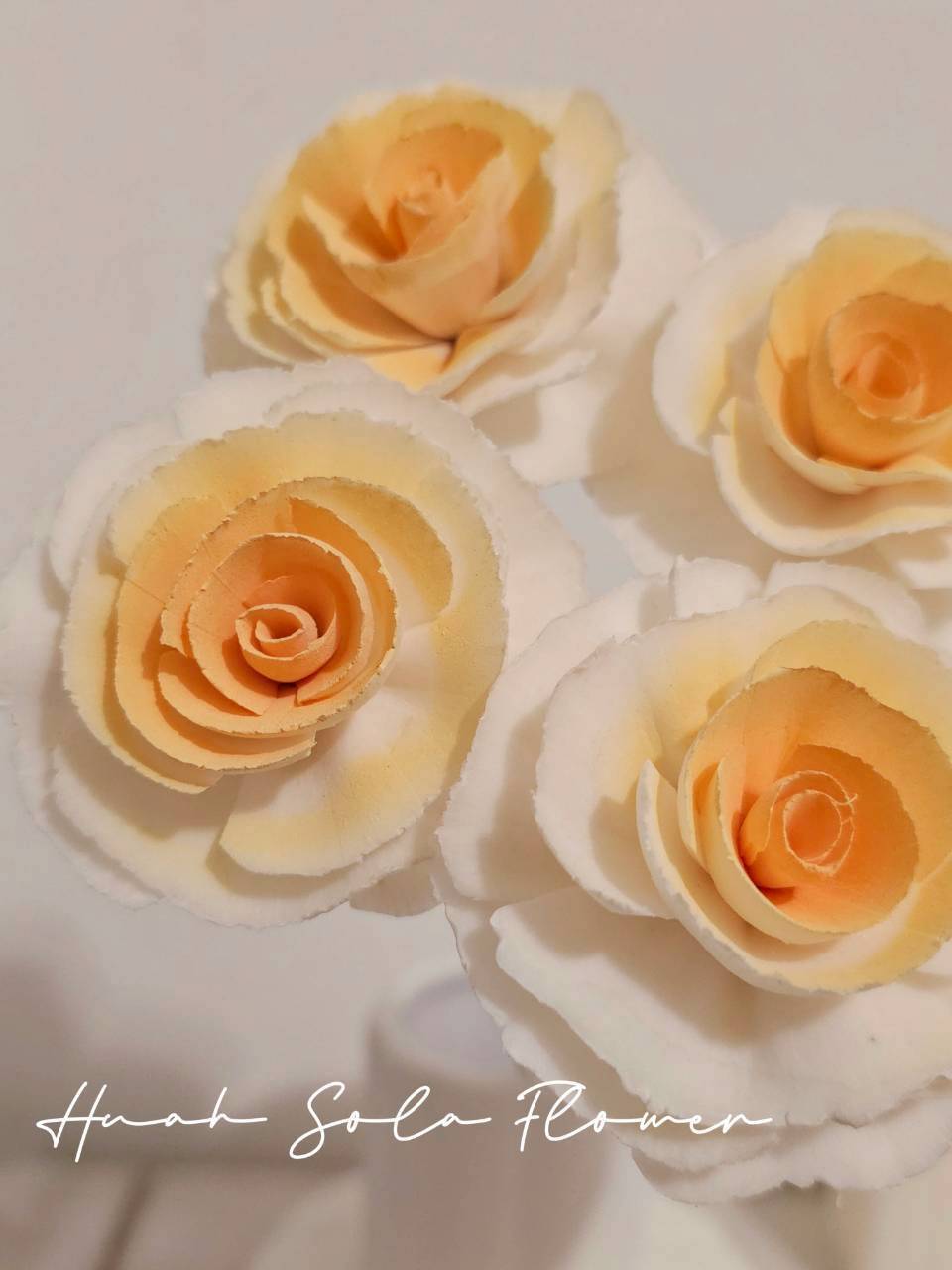 LINE_ALBUM_官網7_260109_103