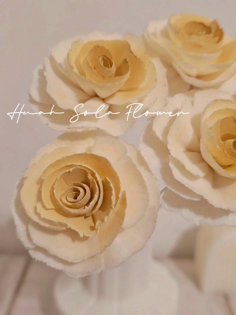 LINE_ALBUM_官網7_260109_105