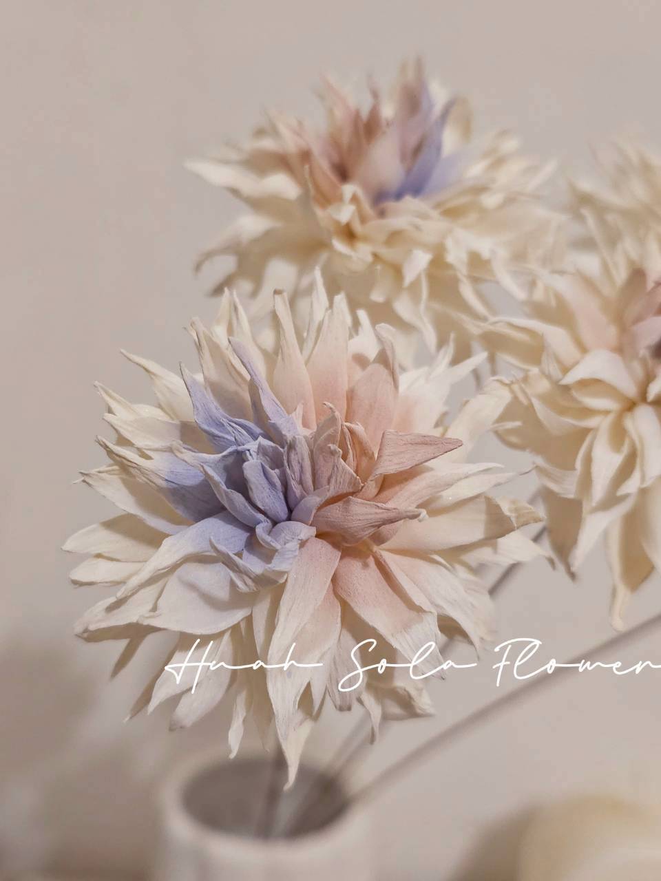 LINE_ALBUM_官網7_260109_89