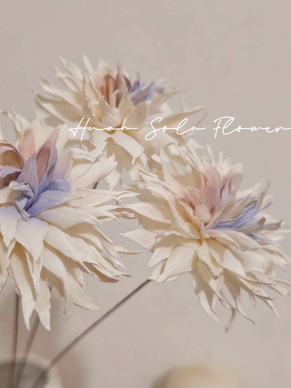 LINE_ALBUM_官網7_260109_90