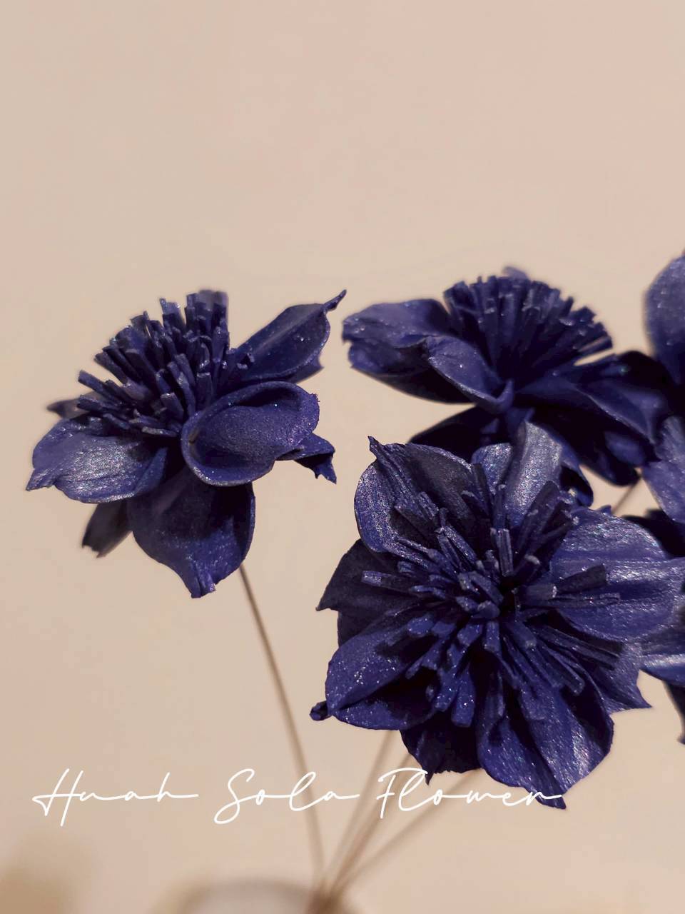 LINE_ALBUM_官網7_260109_98