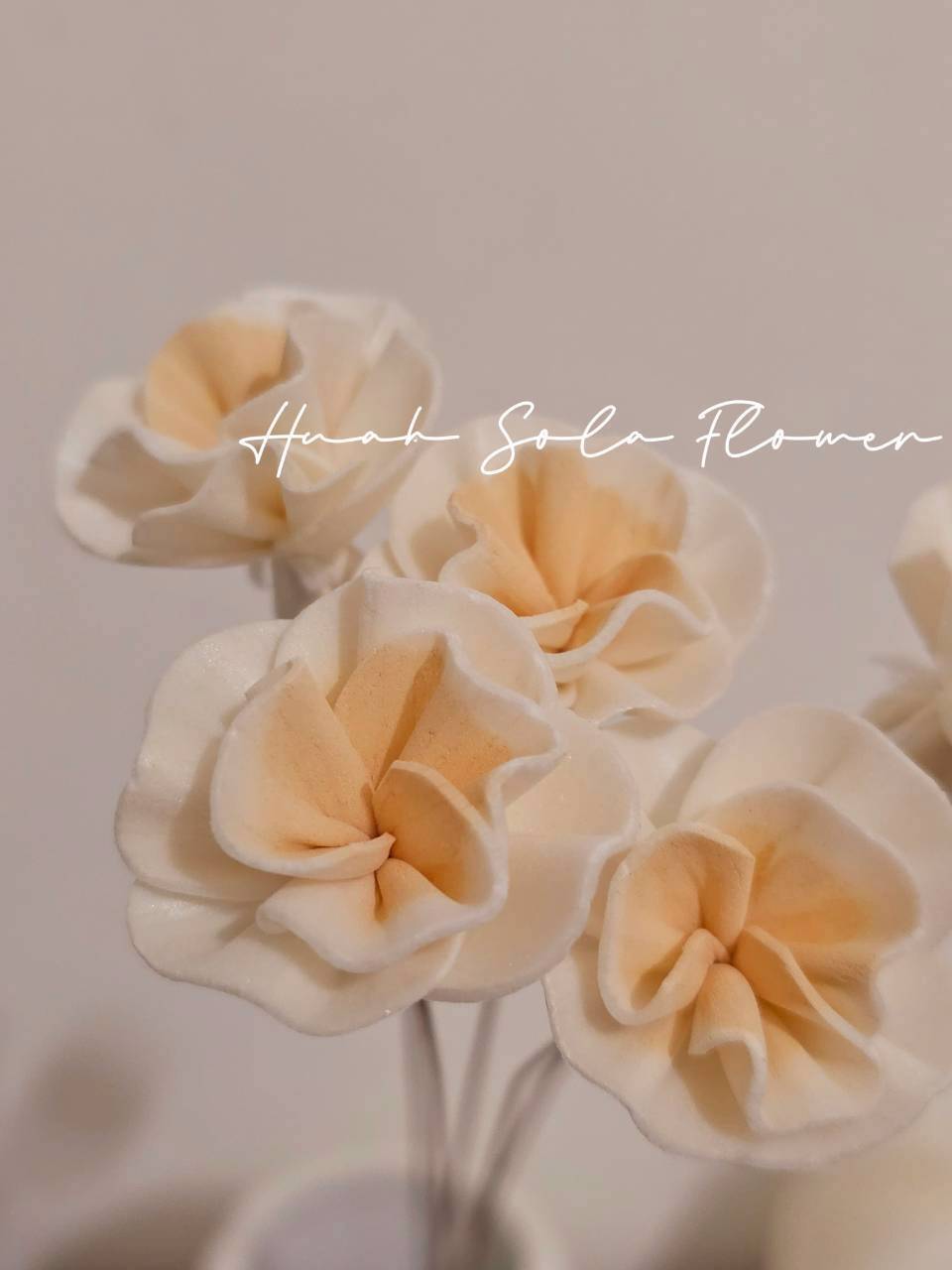 LINE_ALBUM_官網7_260109_109