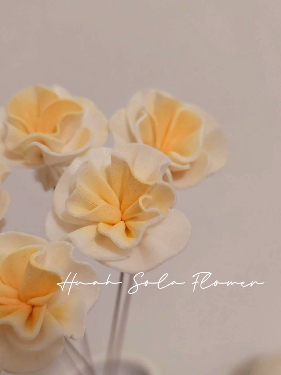 LINE_ALBUM_官網7_260109_111