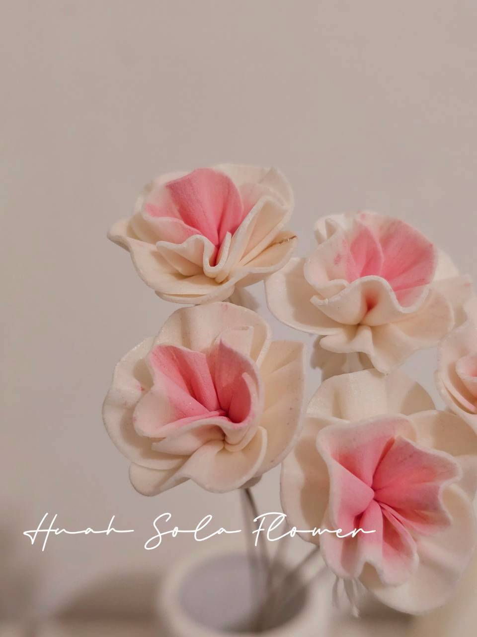 LINE_ALBUM_官網7_260109_114