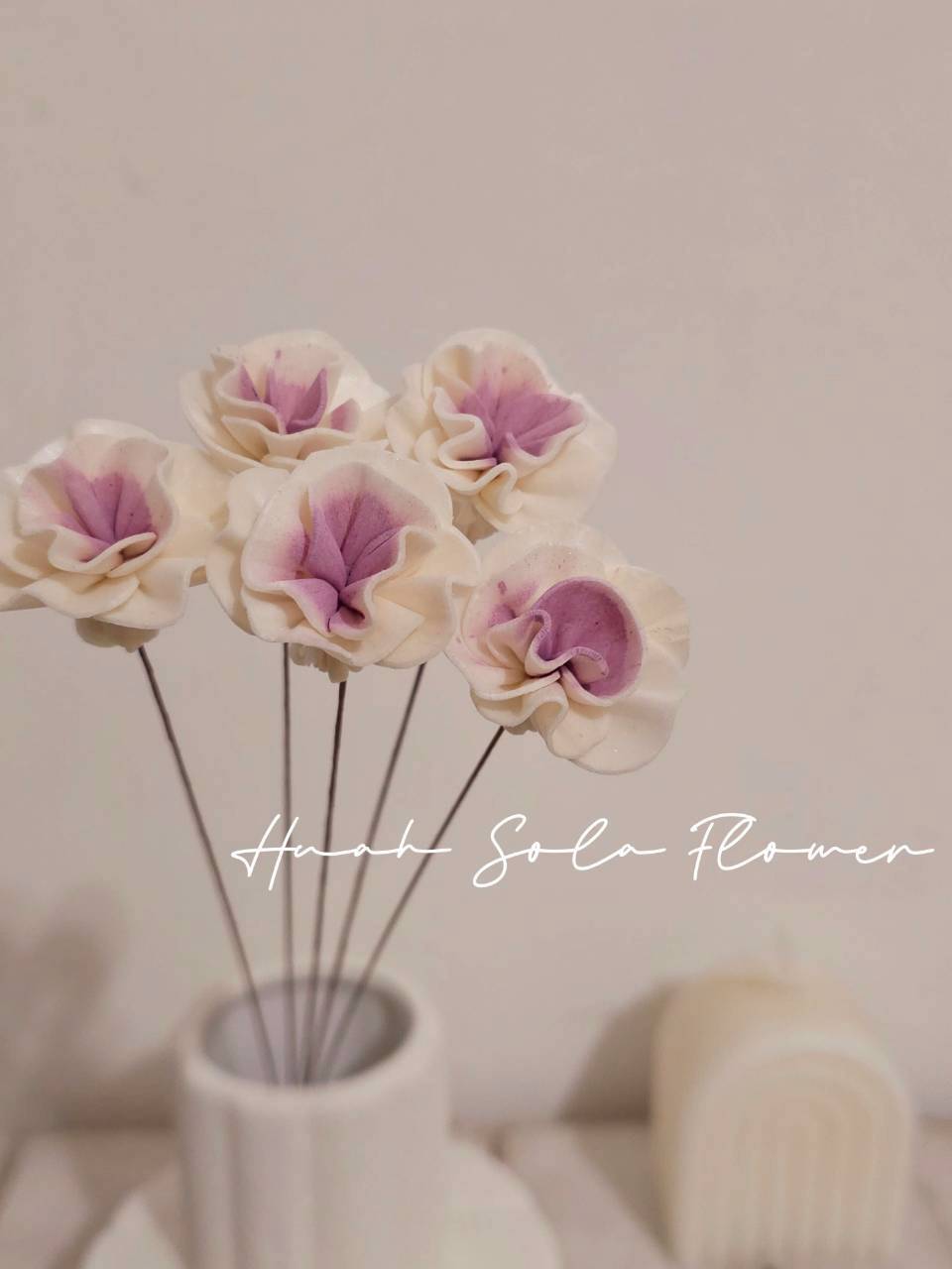 LINE_ALBUM_官網7_260109_115