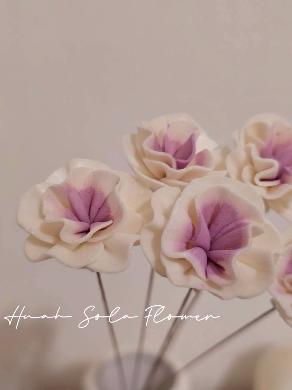 LINE_ALBUM_官網7_260109_116