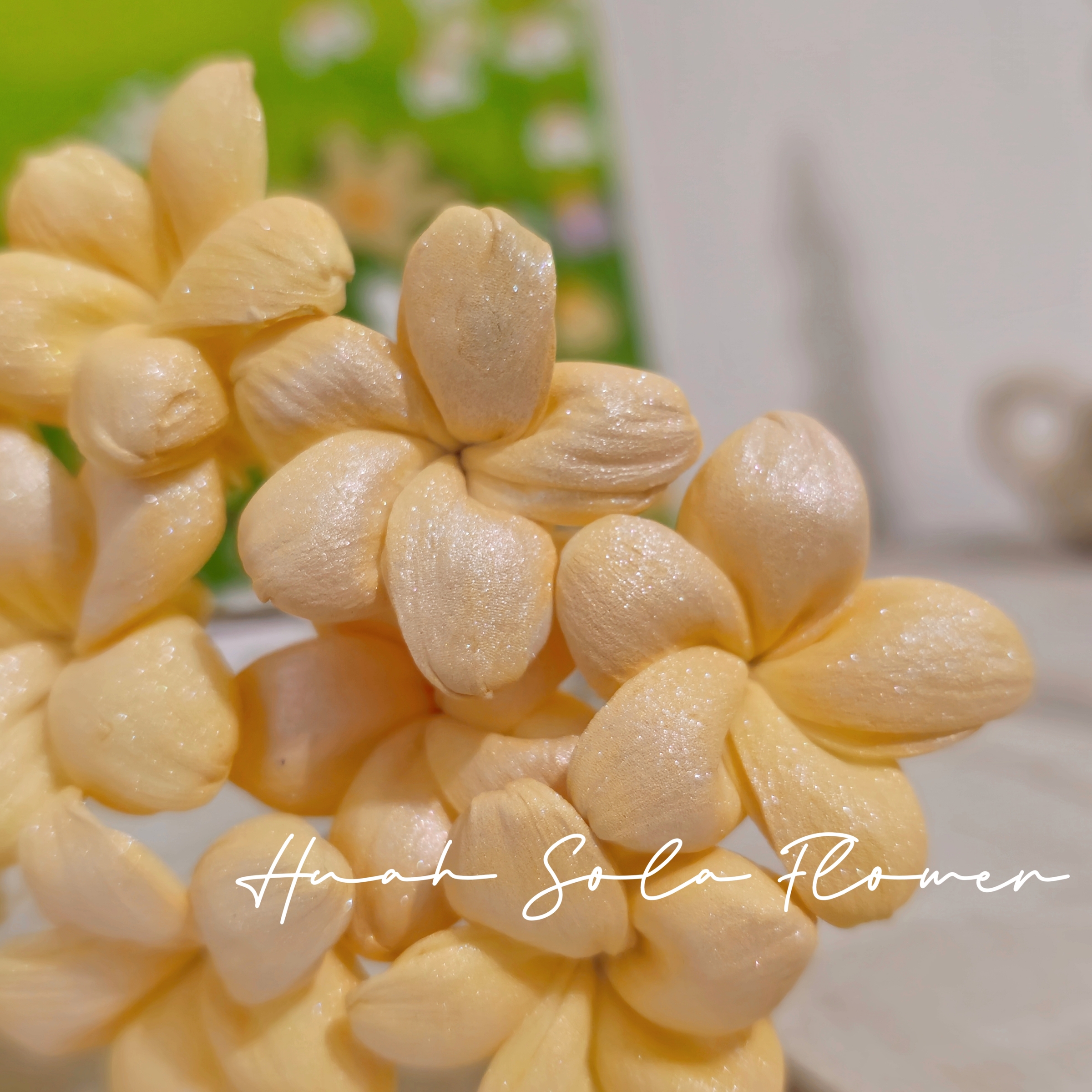 1000025679_batch_2_1746855934374