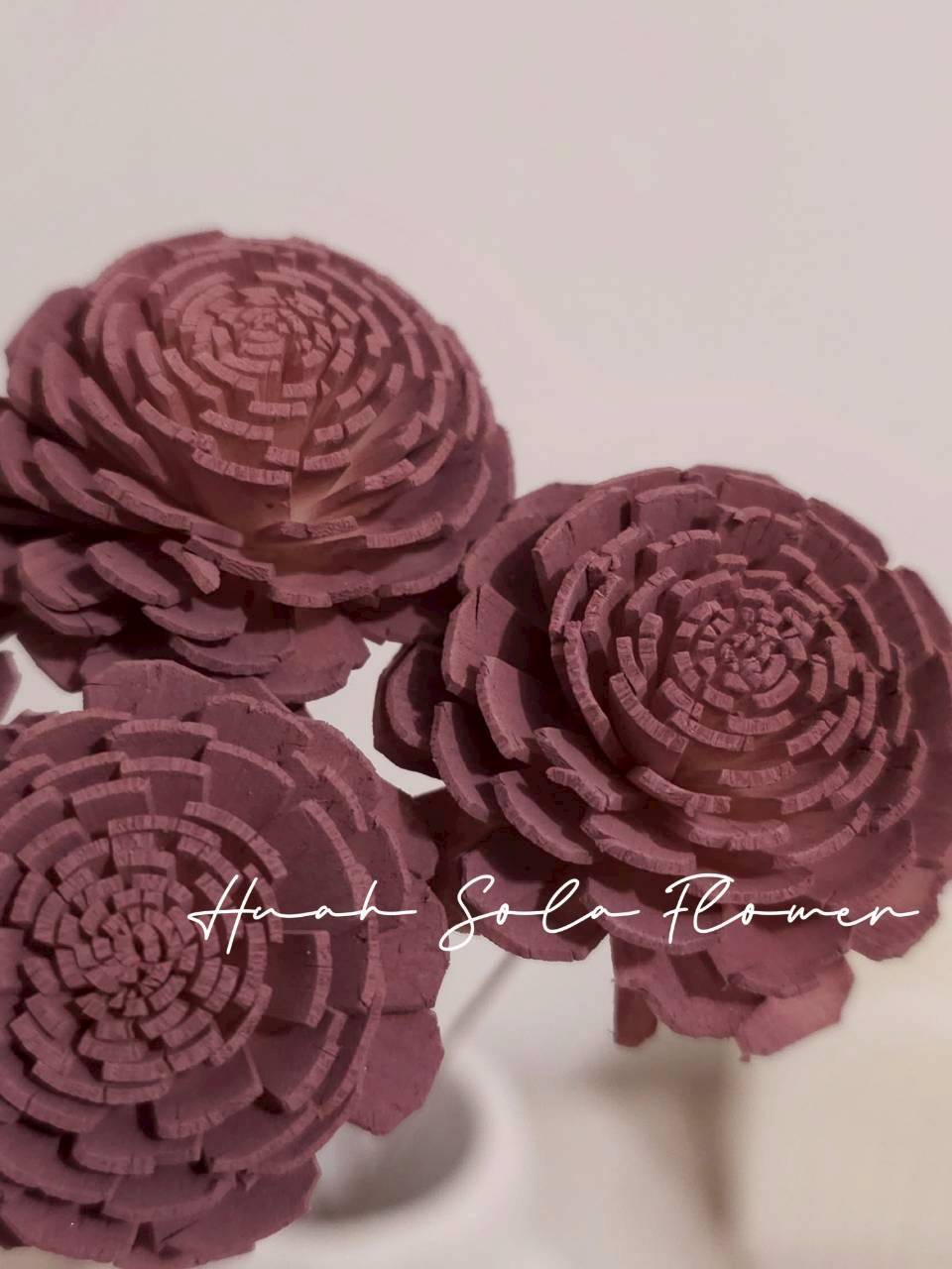 LINE_ALBUM_官網8_260123_16