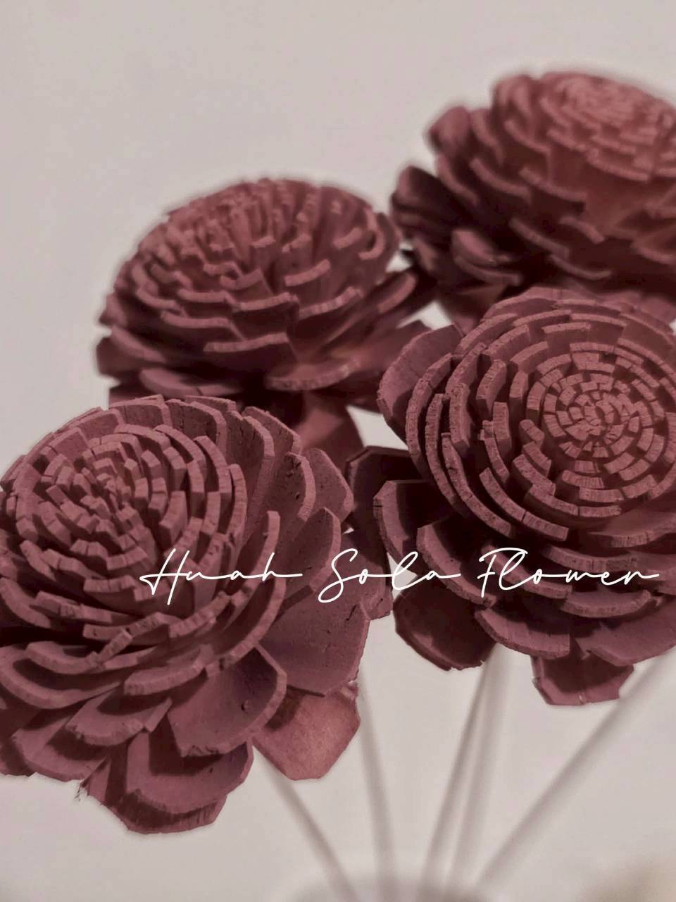 LINE_ALBUM_官網8_260123_17