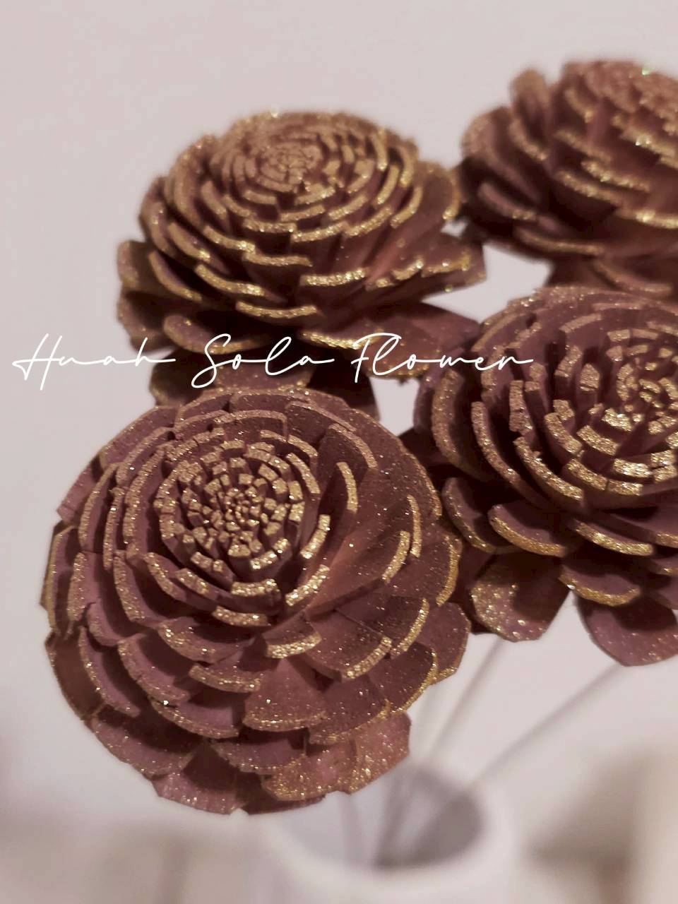 LINE_ALBUM_官網8_260123_13