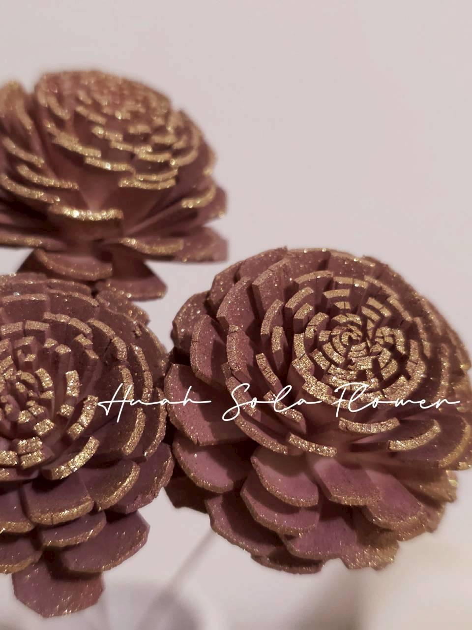 LINE_ALBUM_官網8_260123_14