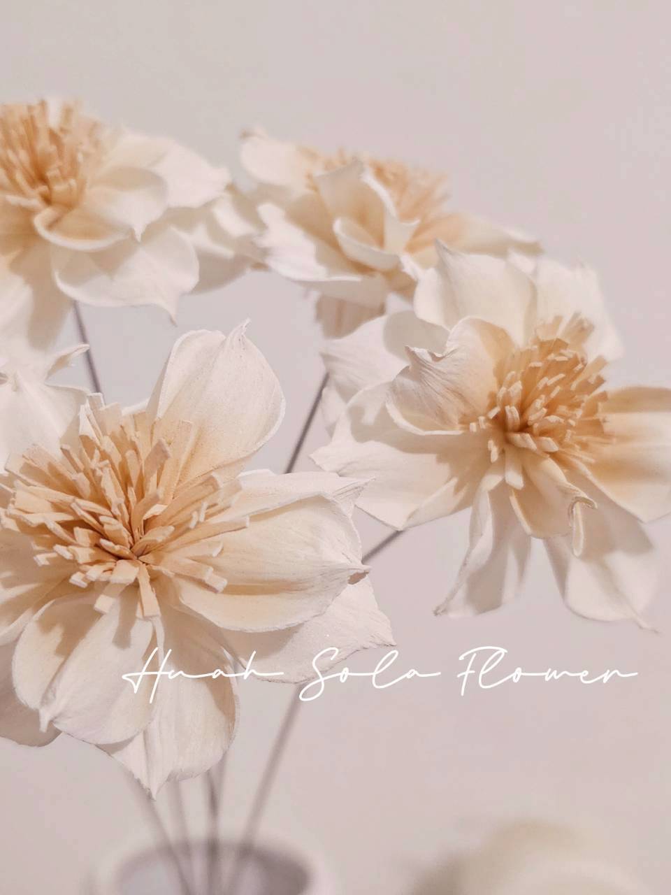 LINE_ALBUM_官網8_260123_20