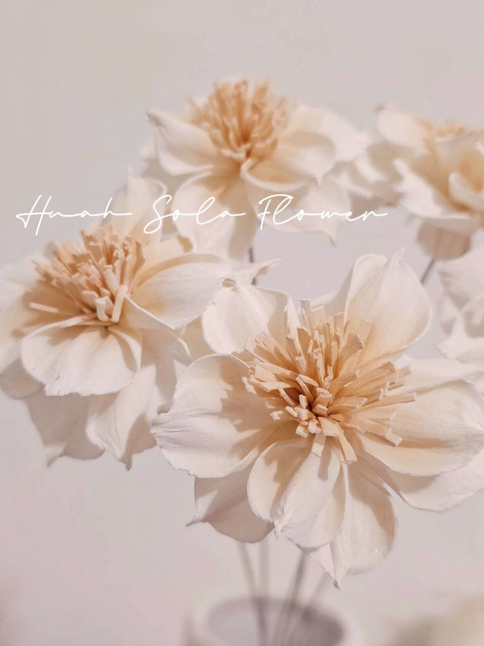 LINE_ALBUM_官網8_260123_19