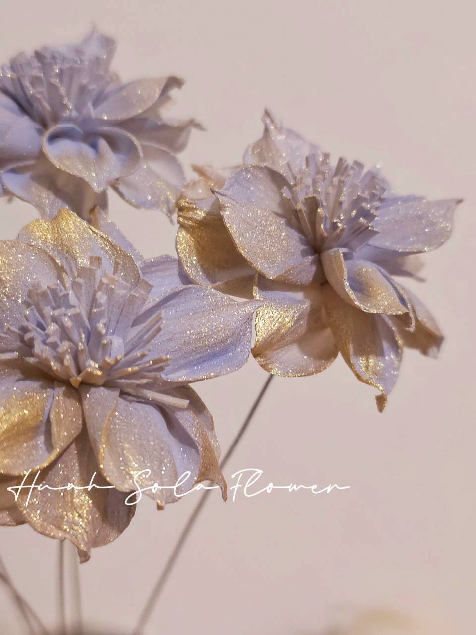 LINE_ALBUM_官網8_260123_23