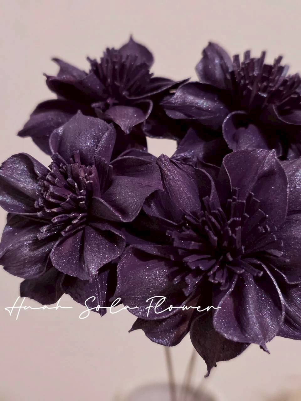 LINE_ALBUM_官網8_260123_25