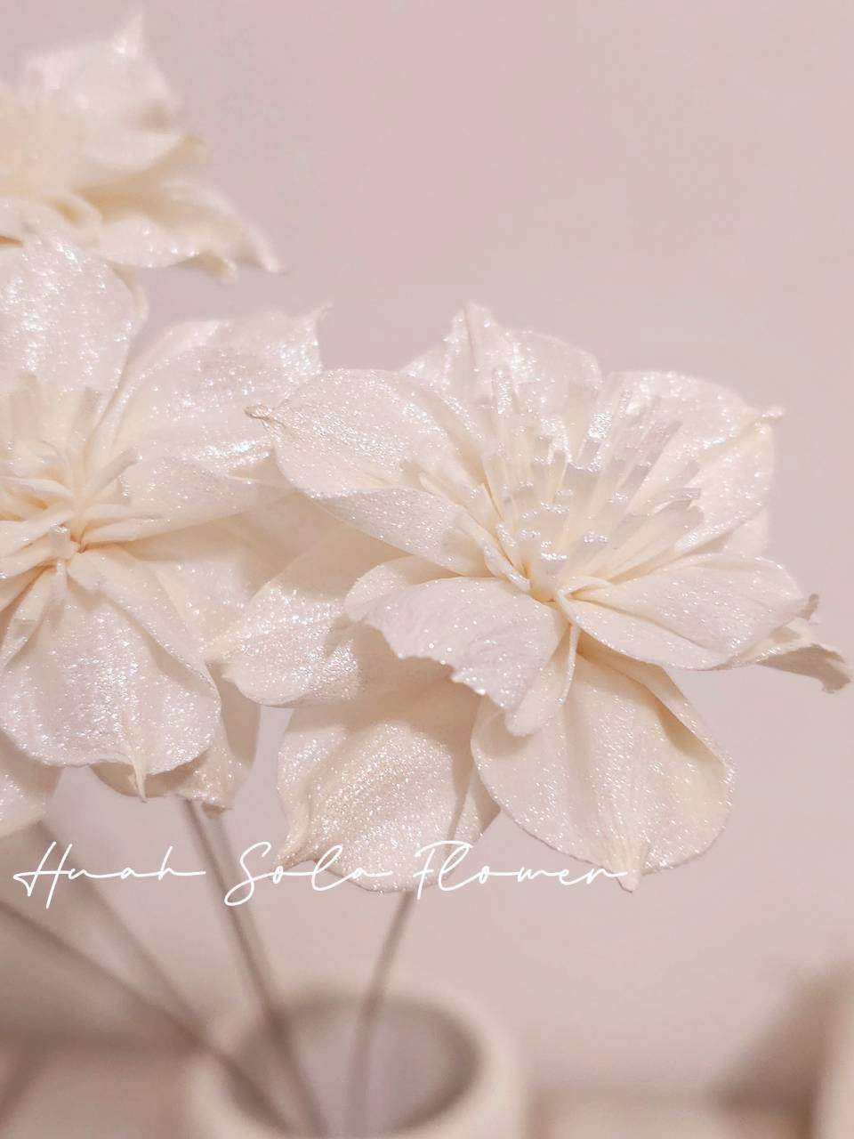 LINE_ALBUM_官網8_260123_28