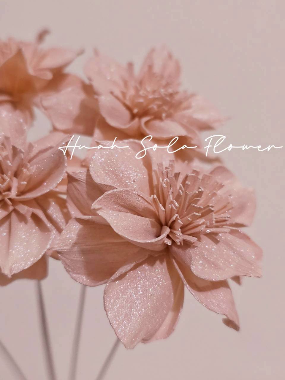 LINE_ALBUM_官網8_260123_33