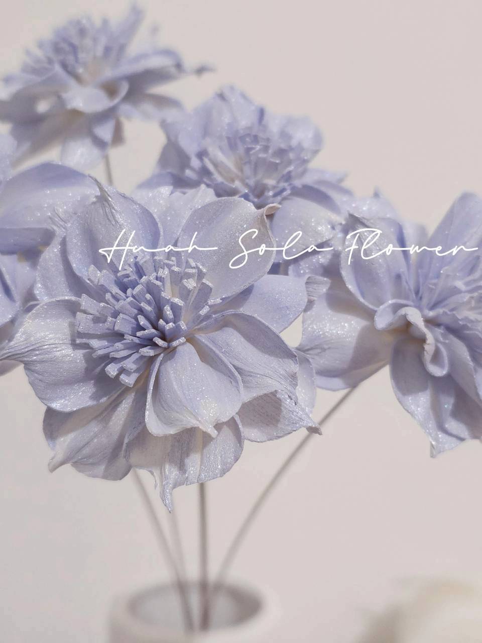 LINE_ALBUM_官網8_260123_35