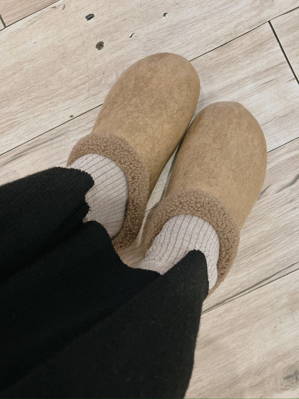 LINE_ALBUM_202613_260103_13