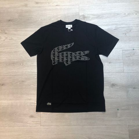 IMG_9811