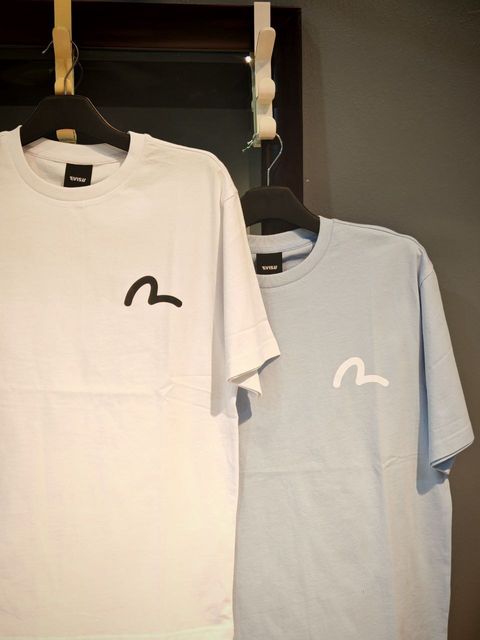 EVISU 3