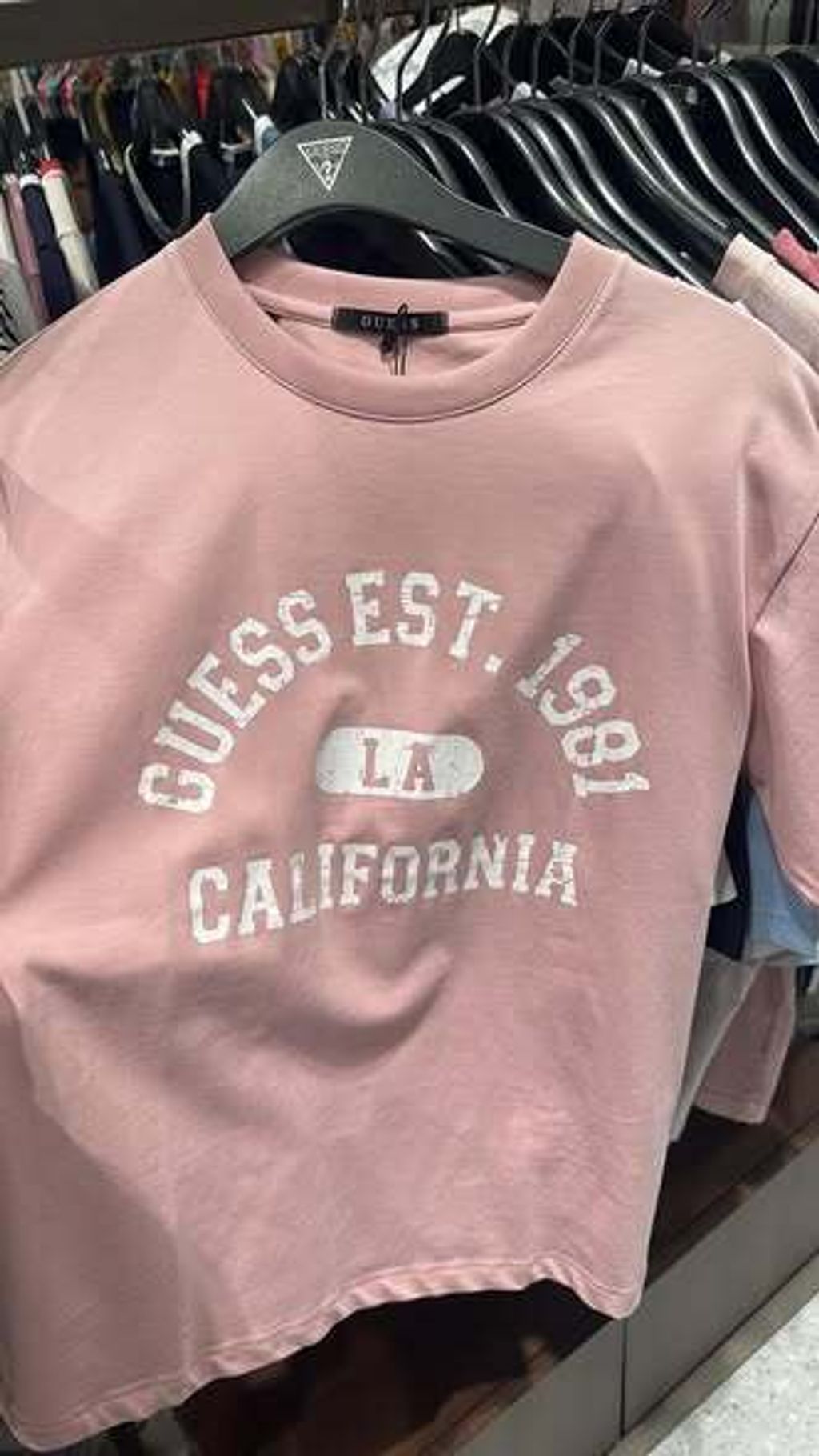 596305277_122115969693050446_9058612092441478394_n