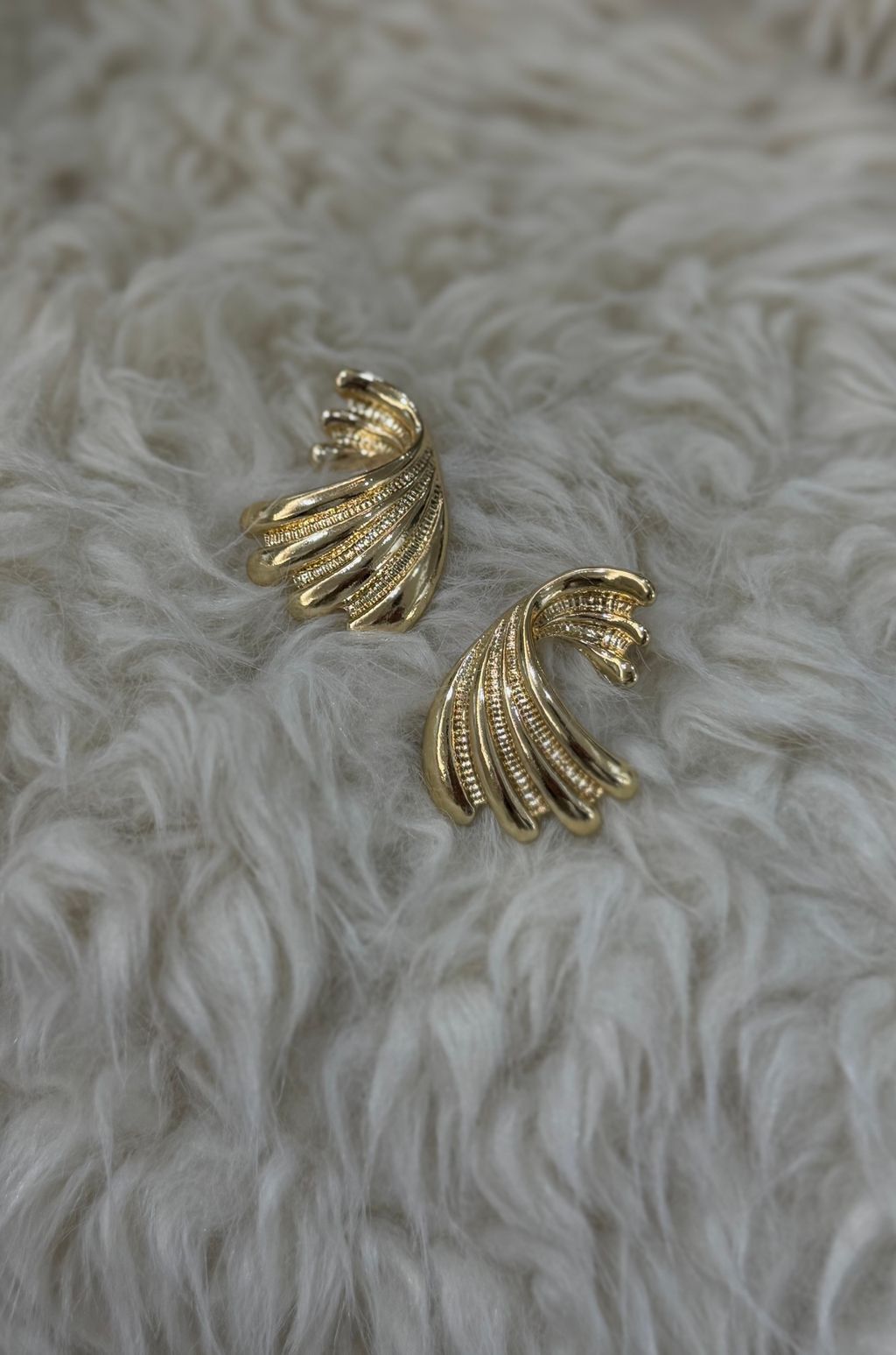 image_56198B75-3180-40E4-885C-879AB2C0971C_1767912183