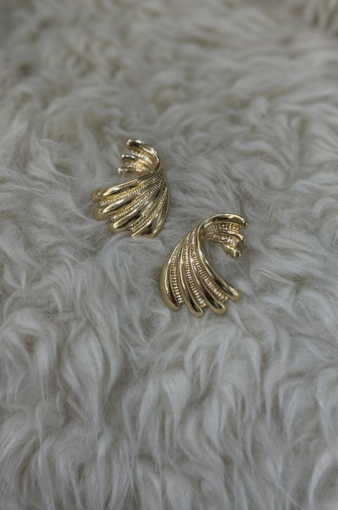 image_56198B75-3180-40E4-885C-879AB2C0971C_1767912183