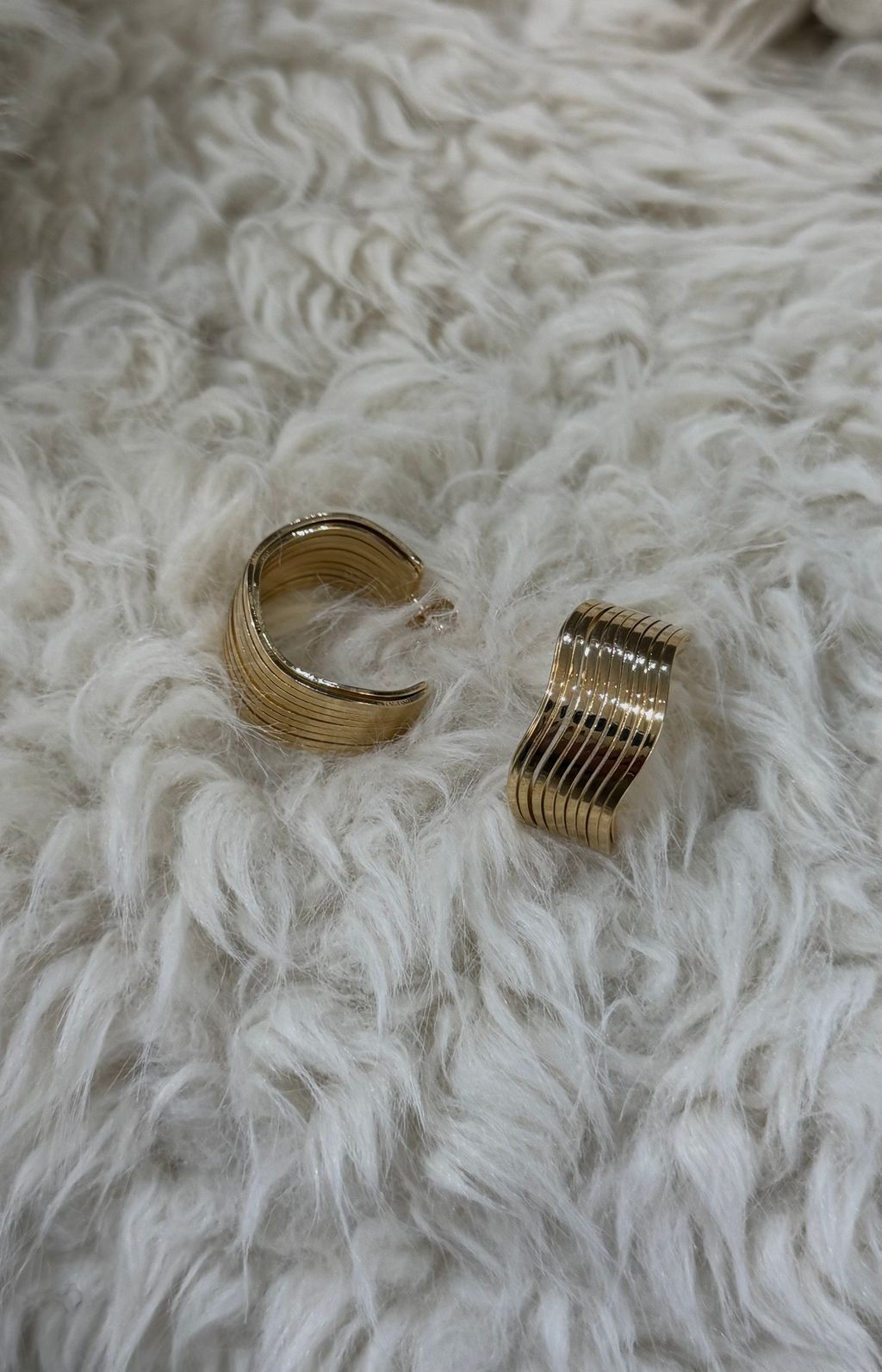 image_2AB62783-B063-49B2-9908-8F3A190670AC_1767912342