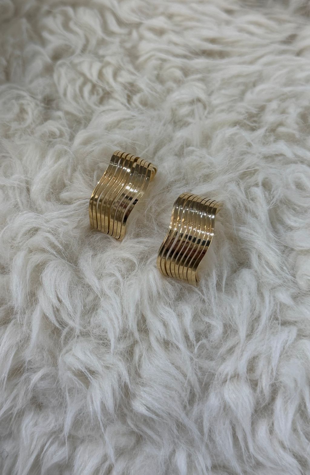 image_49960CEB-B246-44EF-B0FA-E3DDFC87CDC9_1767912342