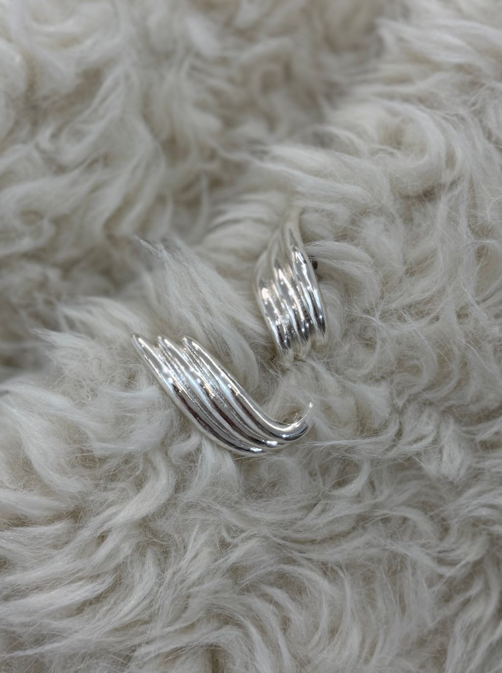 image_162FA83A-052C-4DA4-B5CB-B3592D78AA59_1767912563