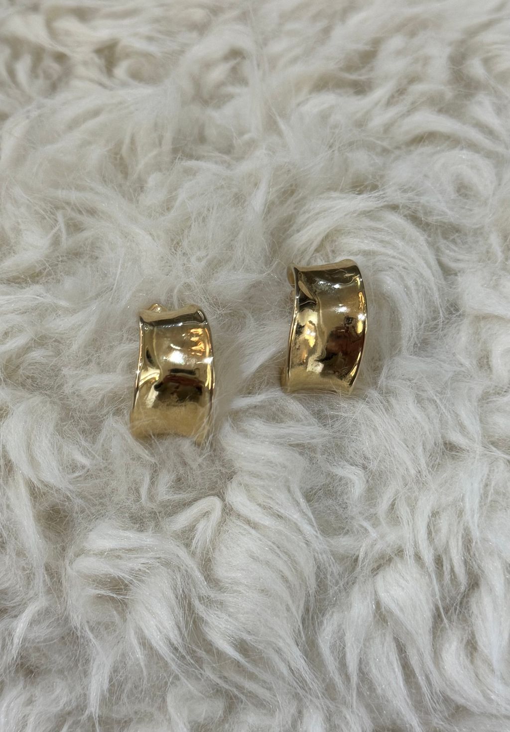 image_A19FBB08-E6A8-47DA-8956-CBE2F3285DA8_1767912680