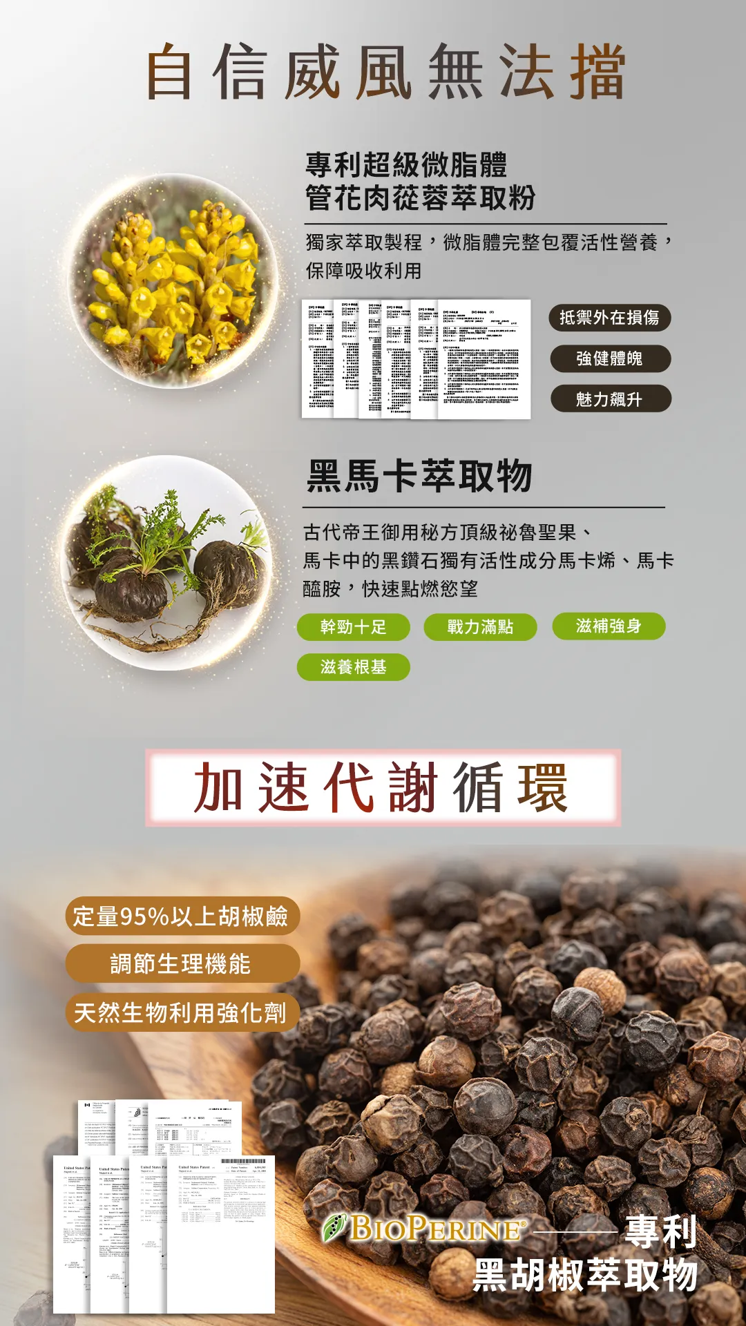 曙鑫生醫-子宜-能量鋅膠囊-11080x1920.jpg4