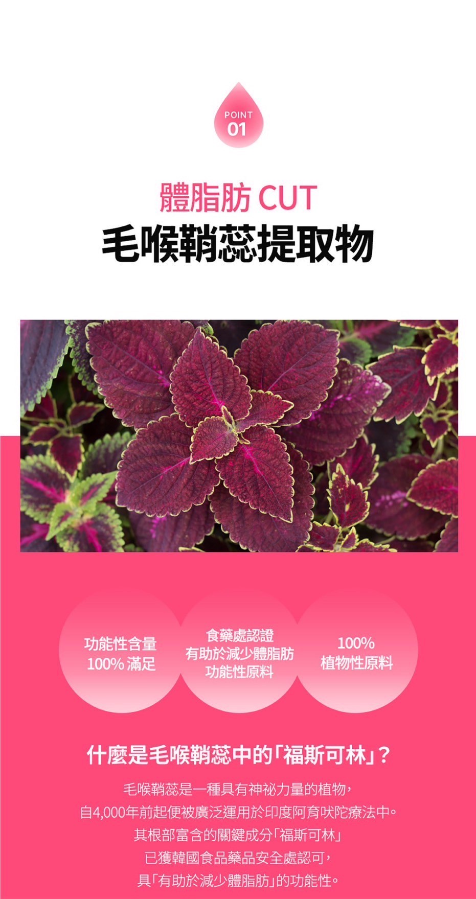 LINE_ALBUM_品牌合作_250804_2