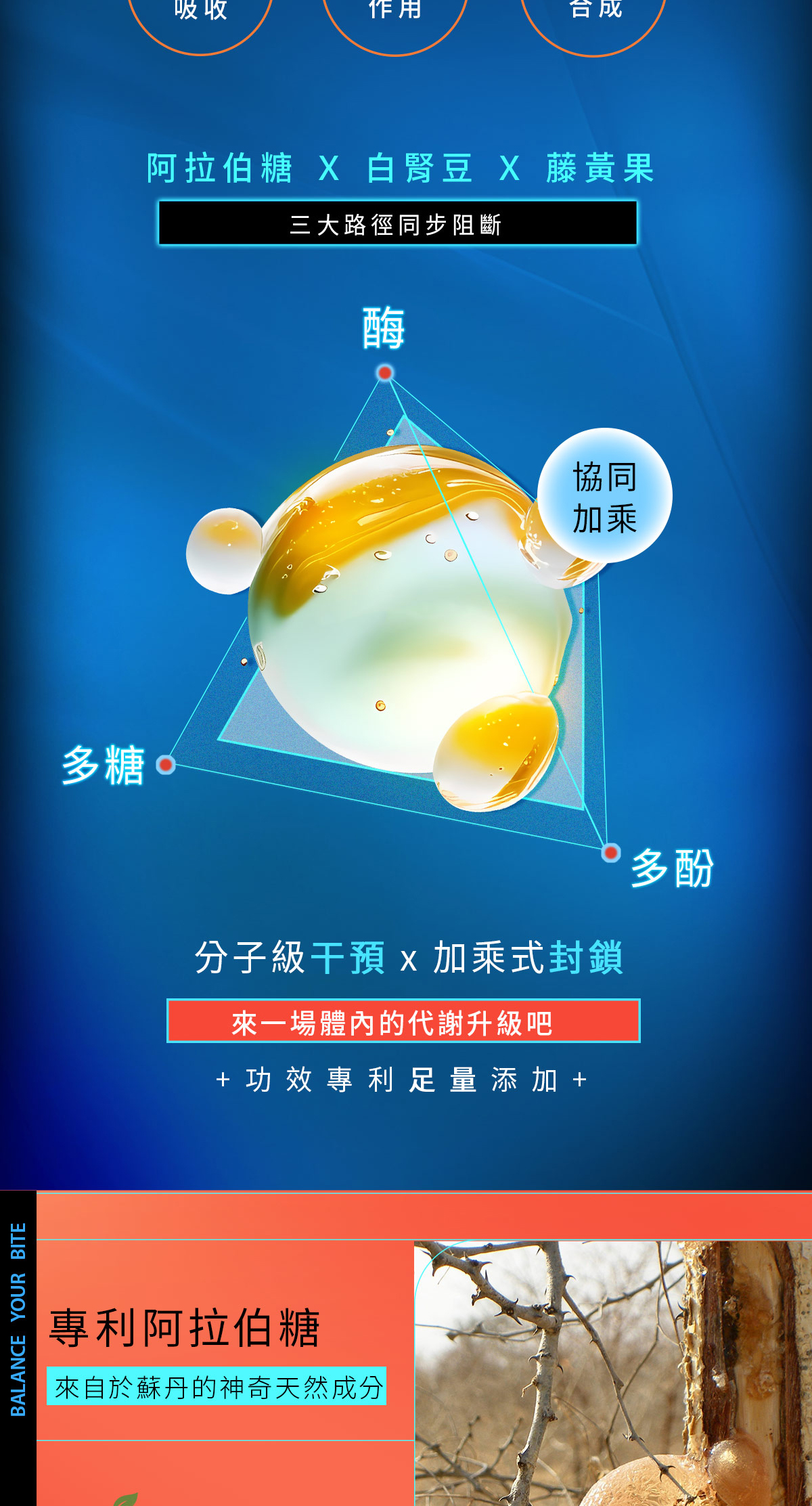 番茄輕清機能飲EDM02