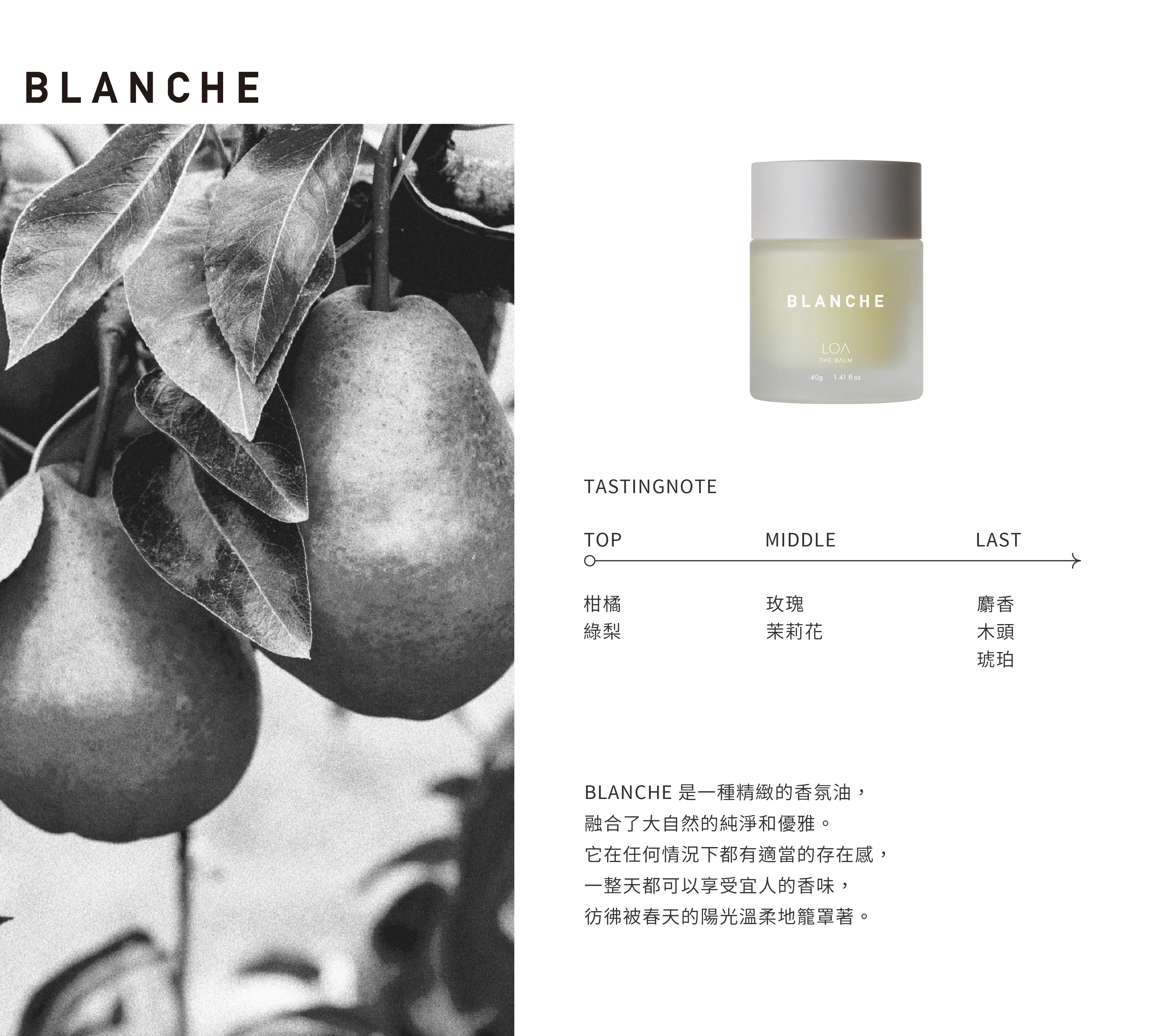 LOA 全效香氛膏 蘭沁 40g