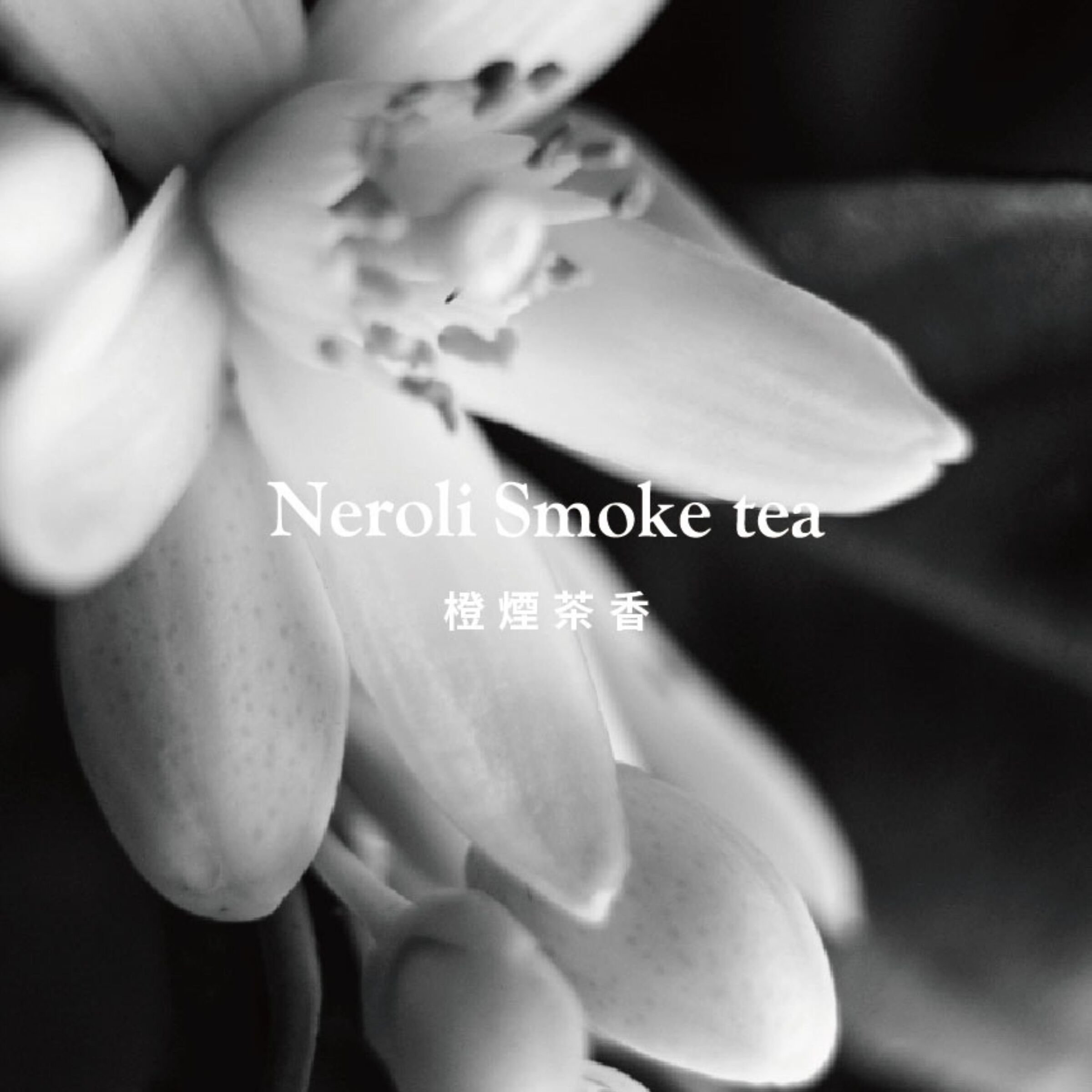 橙煙茶香Neroli Smoke tea