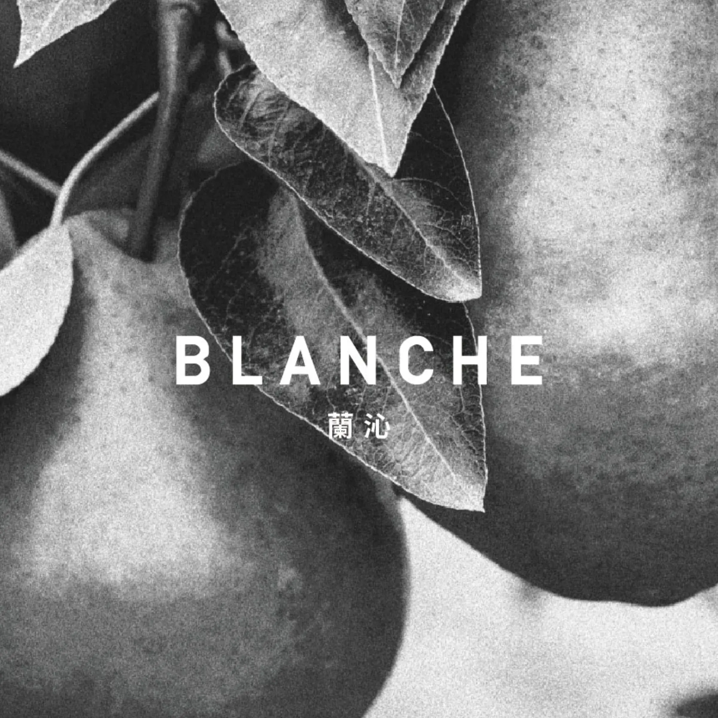 蘭沁BLANCHE