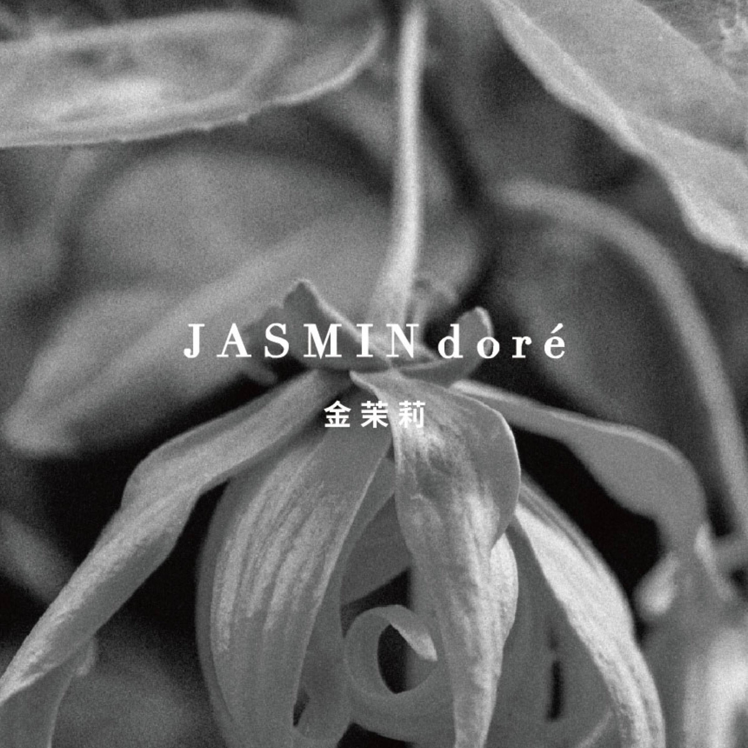 金茉莉JASMIN dore