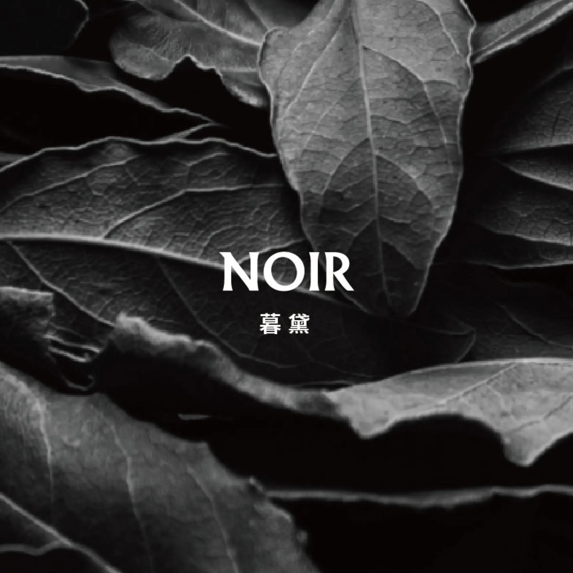 暮黛NOIR