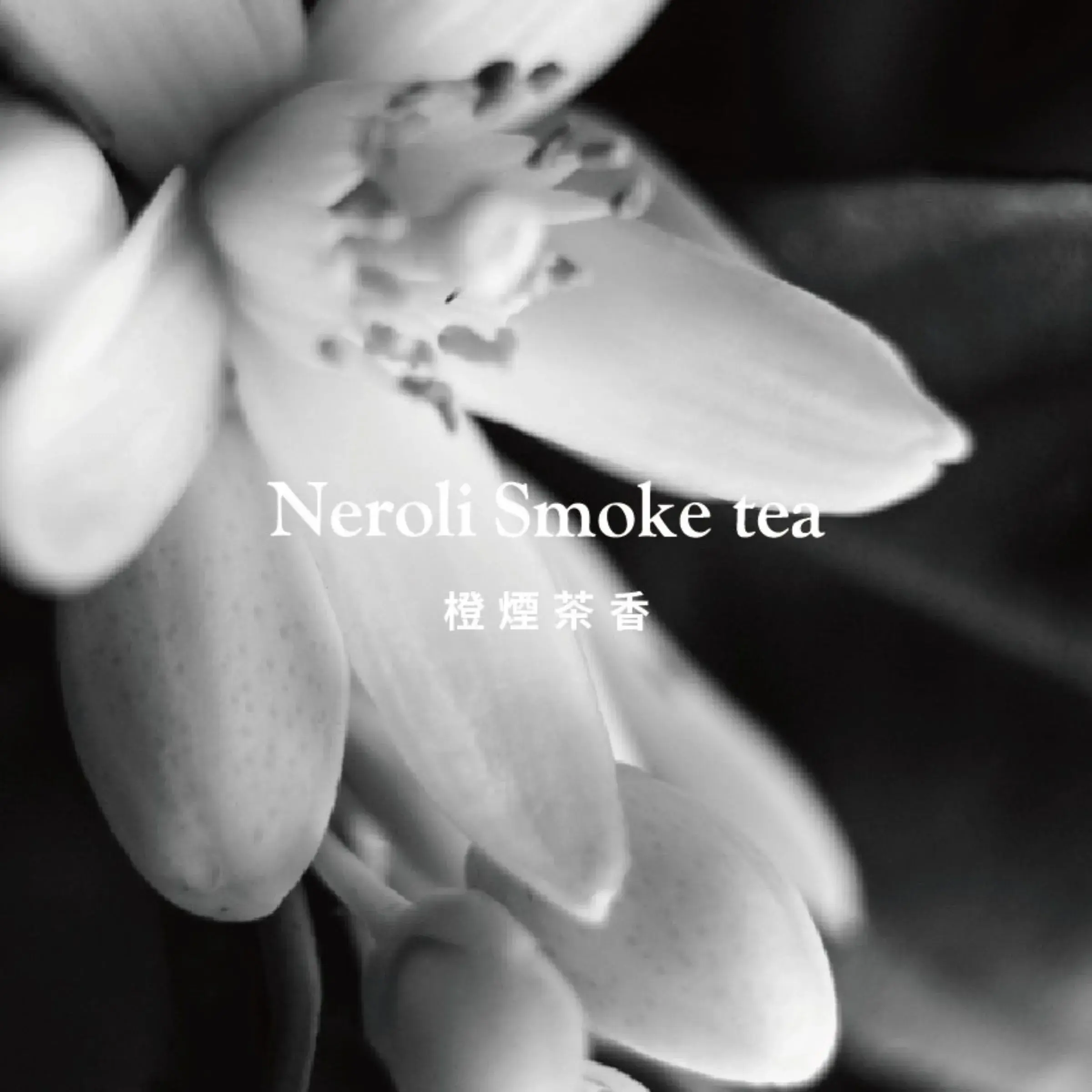 橙煙茶香Neroli Smoke tea
