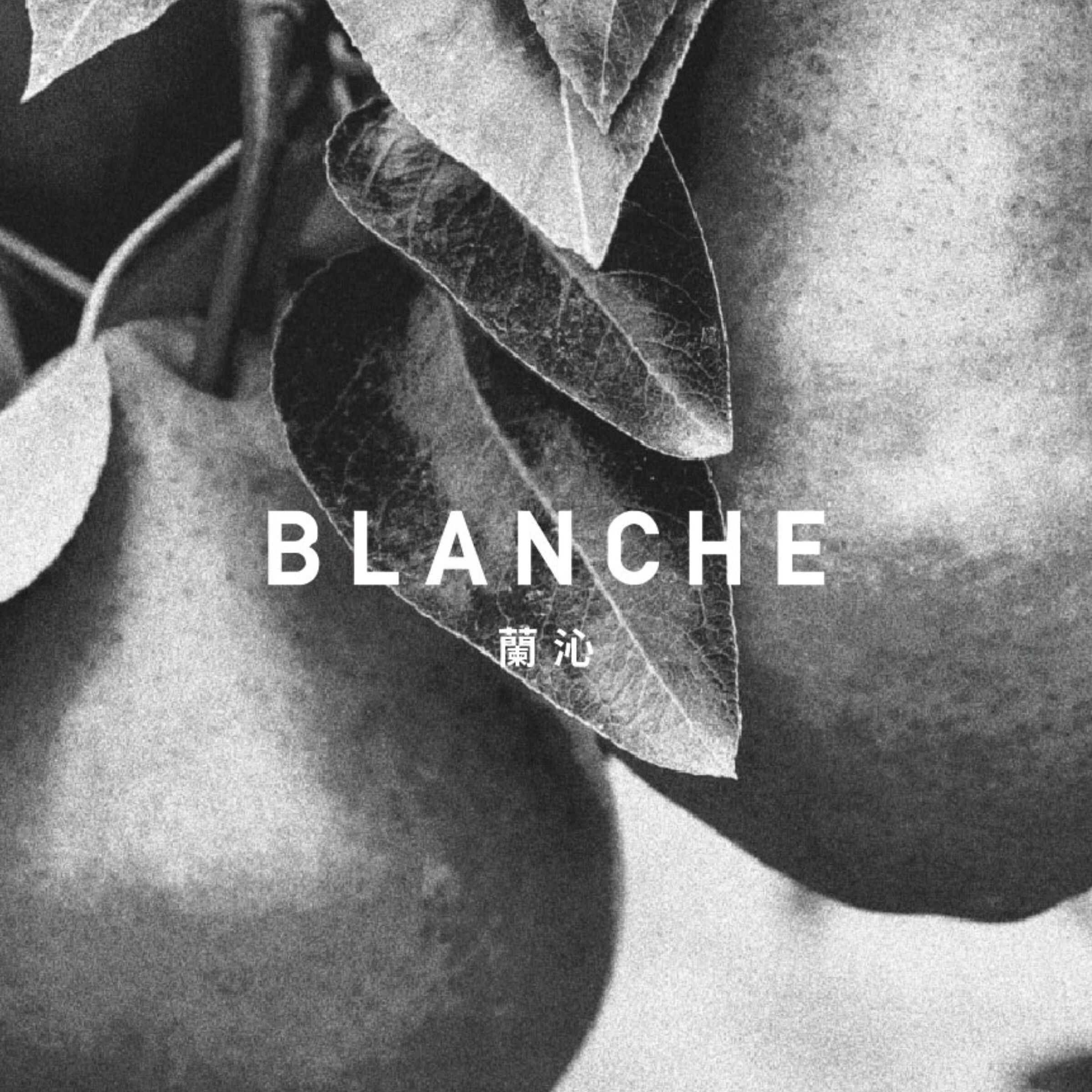 蘭沁BLANCHE