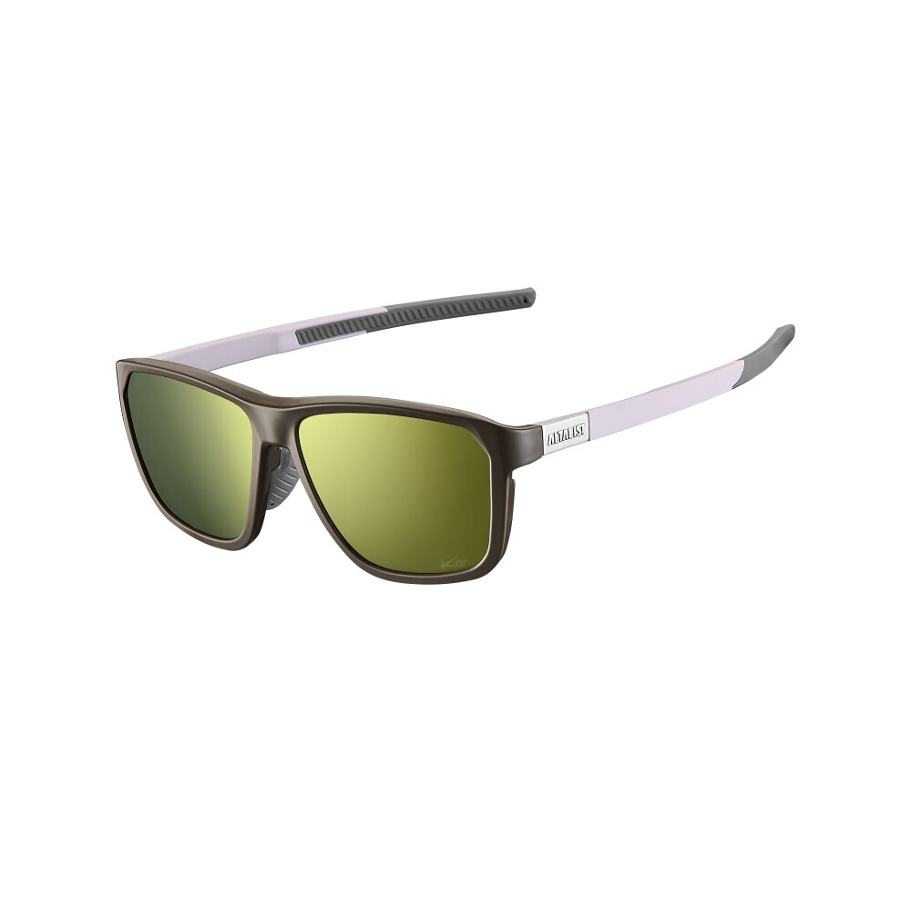 2-1-Dark Brown, Beige Frame,Super Bronze Lens