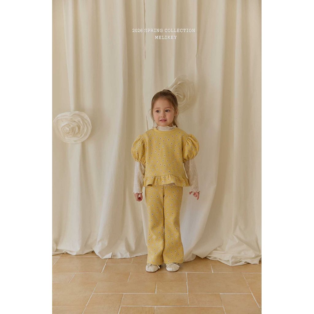 tw-11134207-820ld-mm42mo4mnd393e