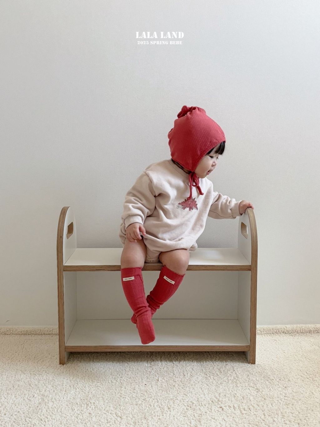 e102bf3ea3e5554747decd903d3262c6-1739450205506