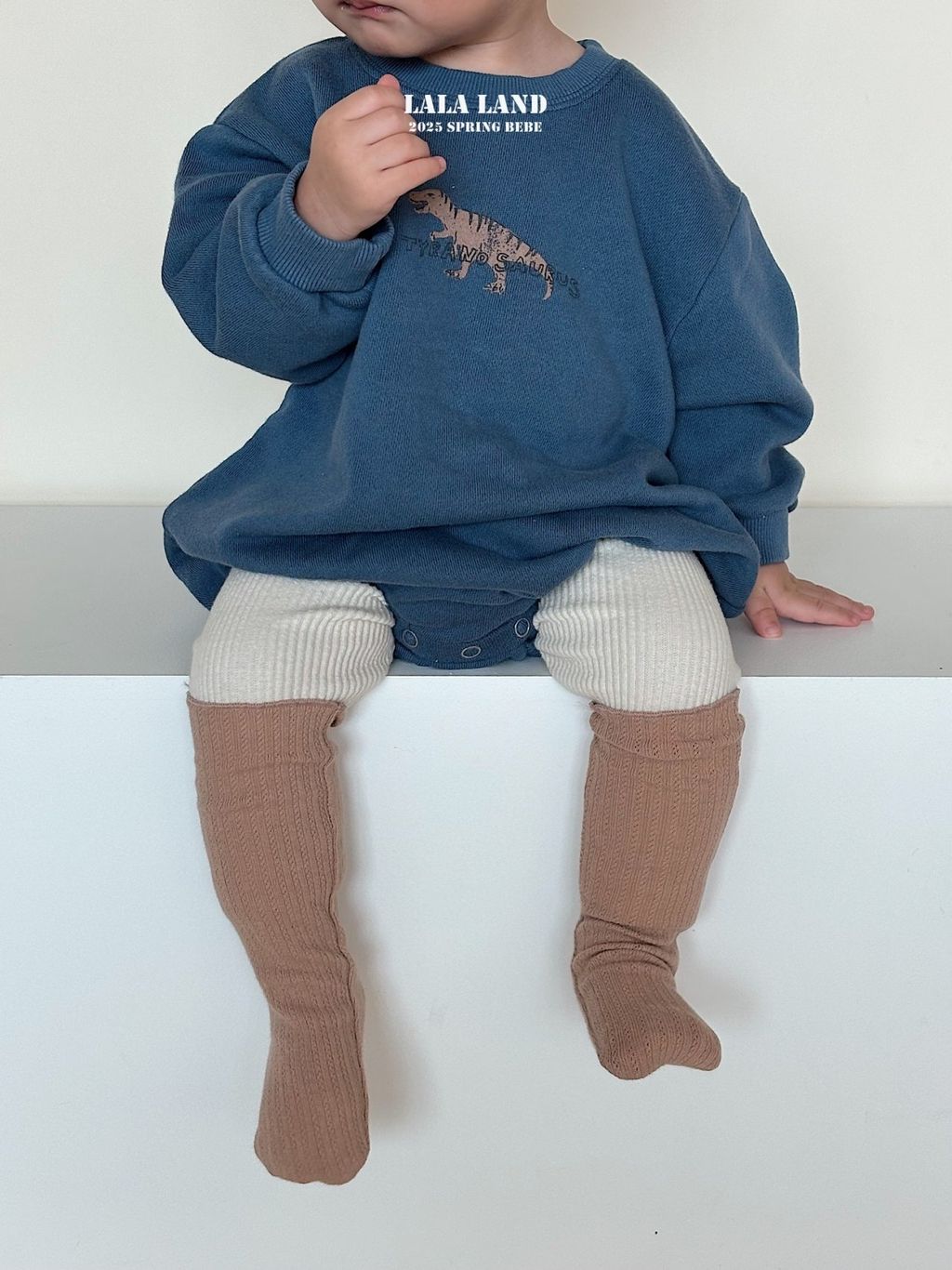 454ef5c13351e560f570b5d087bbac69-1739532953279